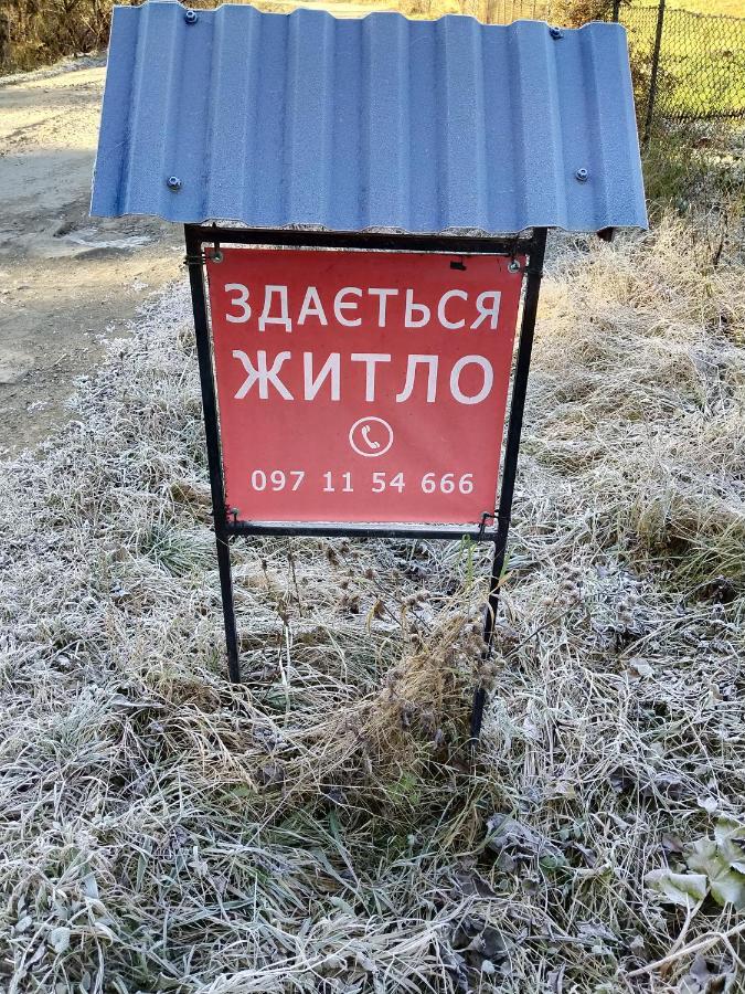 "Відпочинок В Карпатах" Villa Izki Exteriör bild